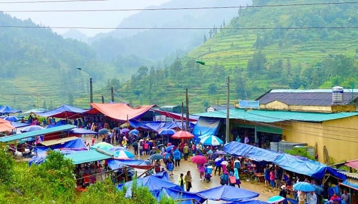 cho muong hum