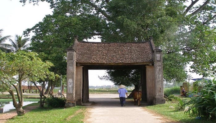 Duong Lam