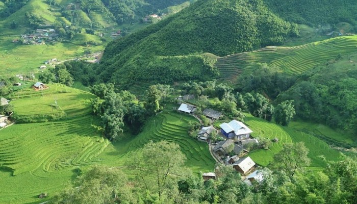 Ta GIang Phinh