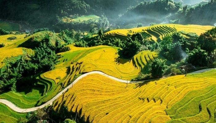 Sapa