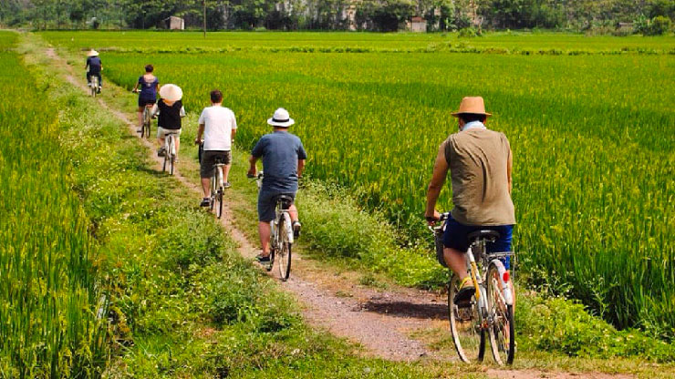 Atividades em Ninh Binh