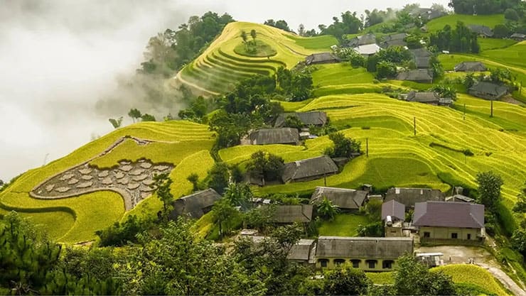 Ruong bac thang Hoang Su Phi