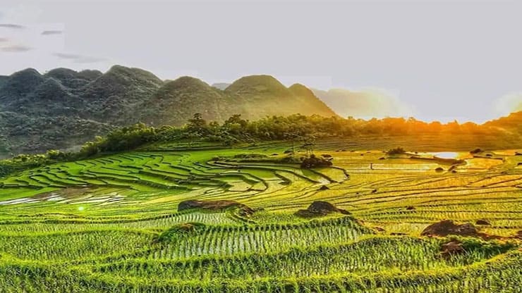 ruong bac thang Pu Luong