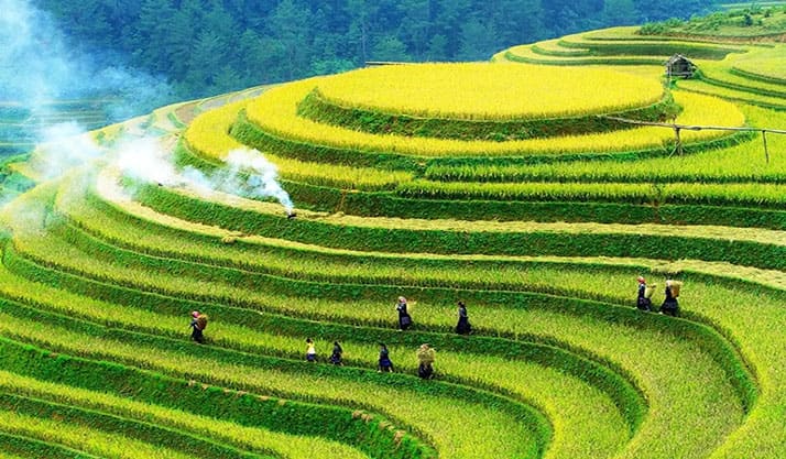 Ruongbacthang