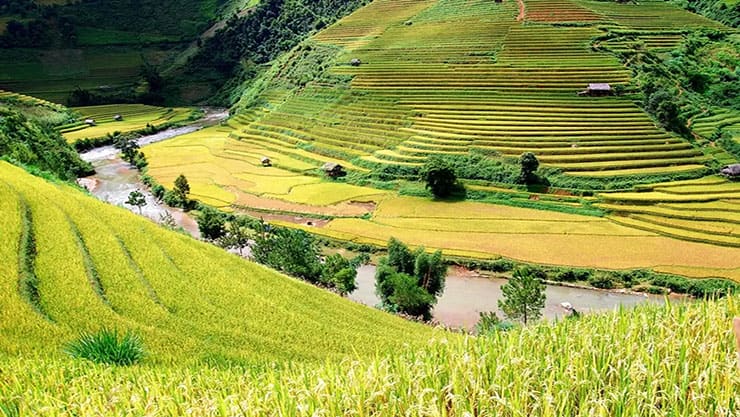 Ruong bac thang