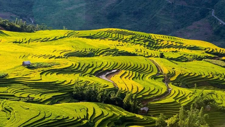 Ruongbacthang
