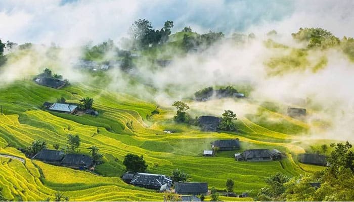 Hoang Su Phi