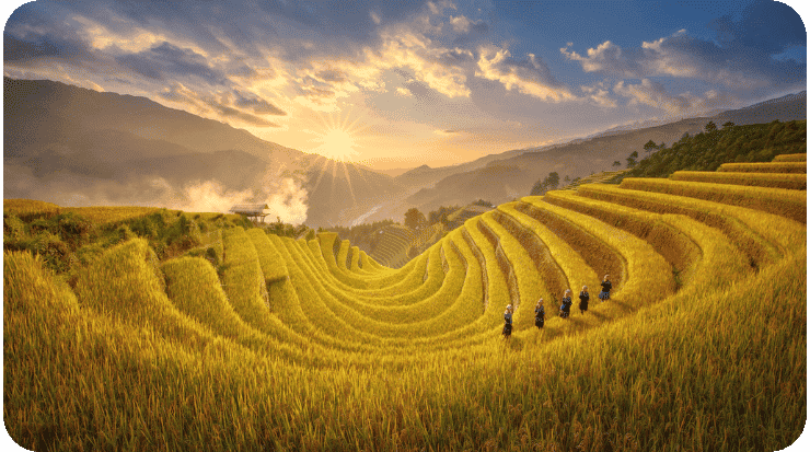 Mu Cang Chai